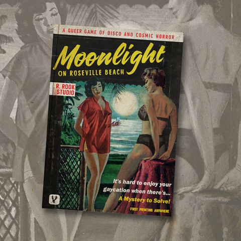 Moonlight on Roseville Beach | R. Rook Studio