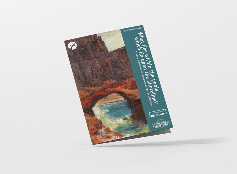 What Lies Within The Pools Which Lie Upon the Shoreline?