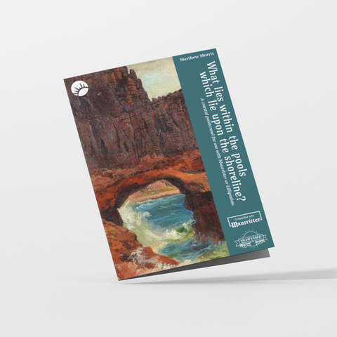 What Lies Within The Pools Which Lie Upon the Shoreline?