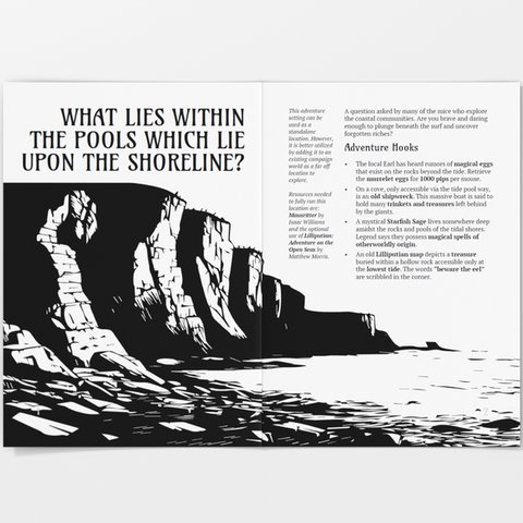 What Lies Within The Pools Which Lie Upon the Shoreline?