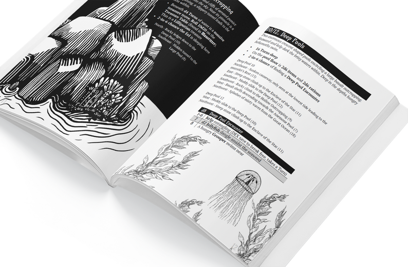 What Lies Within The Pools Which Lie Upon the Shoreline?