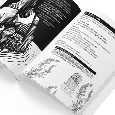 What Lies Within The Pools Which Lie Upon the Shoreline?