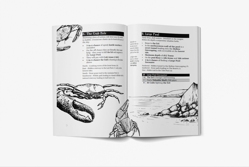 What Lies Within The Pools Which Lie Upon the Shoreline?