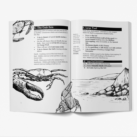 What Lies Within The Pools Which Lie Upon the Shoreline?