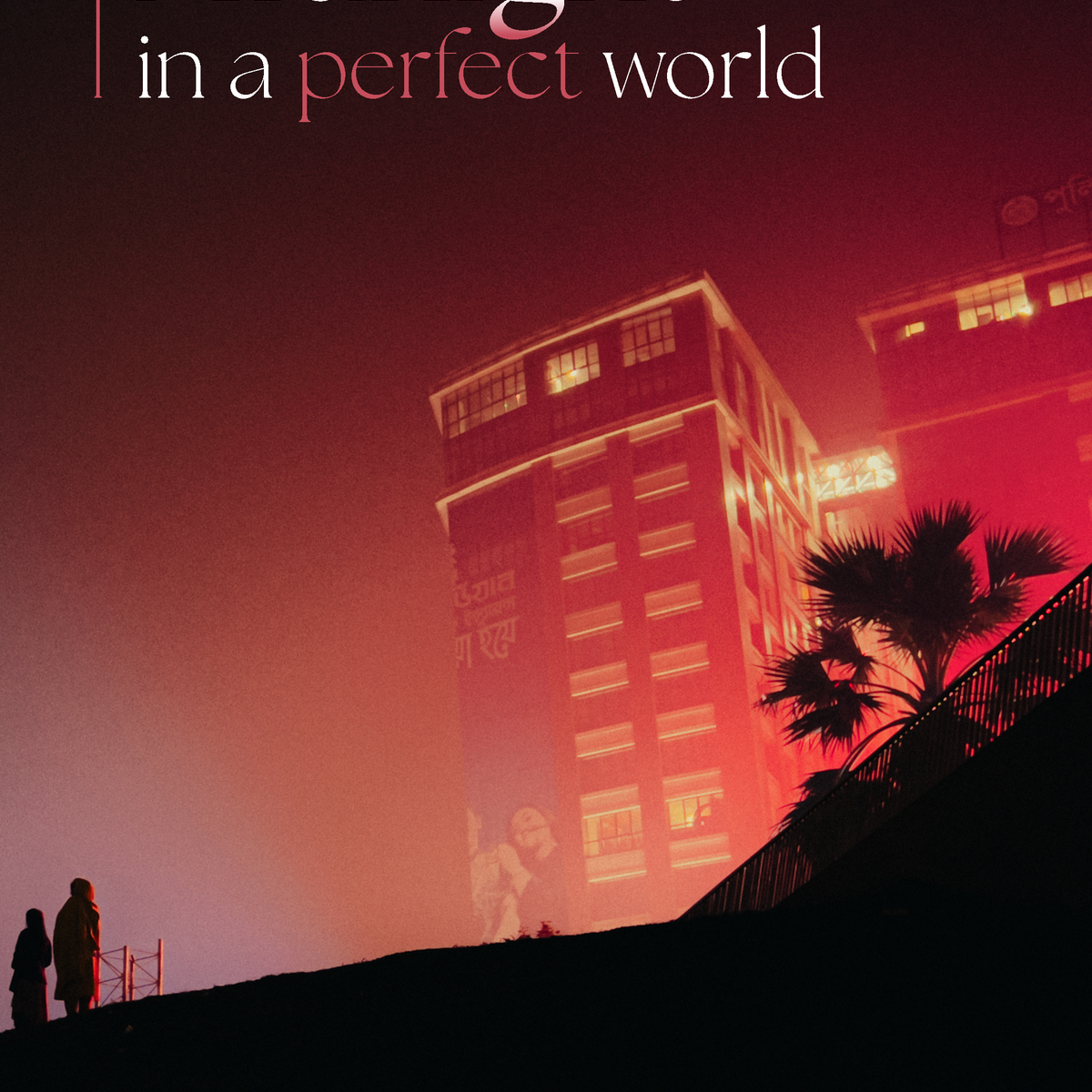 Midnight in a Perfect World