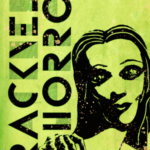 Bracknell Horror: Roseville Beach Zine 3